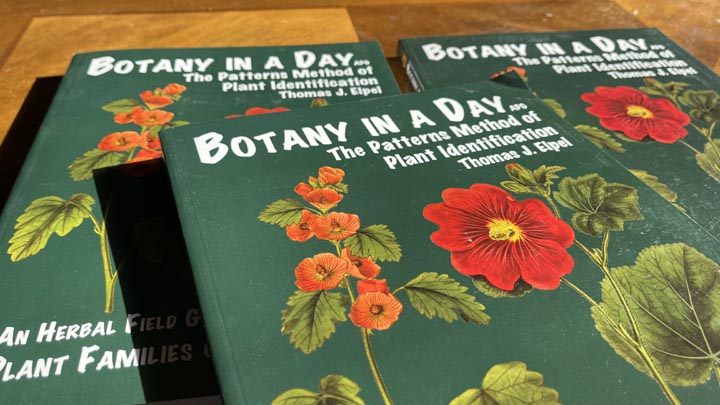 Discount cover-damaged copies of Botany in a Day.