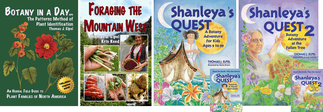 Botany in a Day, Foraging the Mountain West, and Shanleya's Quest books and games.