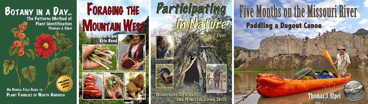 Shanleya's Quest books and games, plus Wildlife Web.