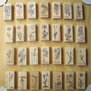 Plant drawings on wooden blocks.